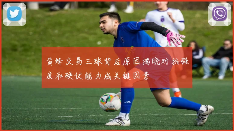 黄蜂交易三球背后原因揭晓对抗强度和硬仗能力成关键因素