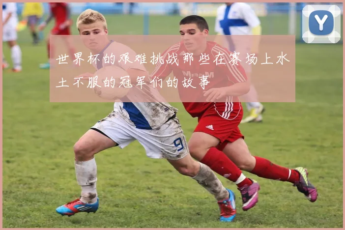 世界杯的艰难挑战那些在赛场上水土不服的冠军们的故事