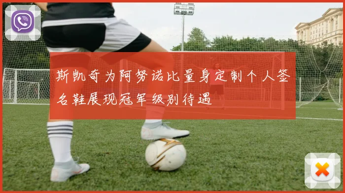 斯凯奇为阿努诺比量身定制个人签名鞋展现冠军级别待遇