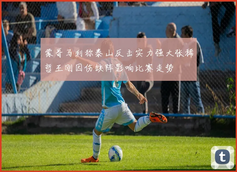 蒙哥马利称泰山反击实力强大张稀哲王刚因伤缺阵影响比赛走势